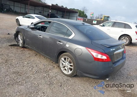 2010 Nissan Maxima 3.5 Sv z USA, uszkodzony, nr VIN 1N4AA5AP8AC813635